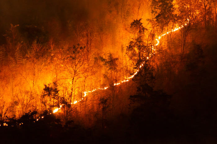 Las hermosas casas arden en los incendios forestales de Los Ángeles